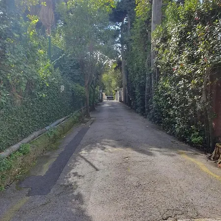 Moderne Avec Vue A كان