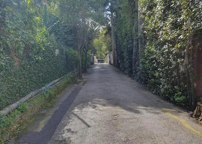 Moderne Avec Vue A Cannes
